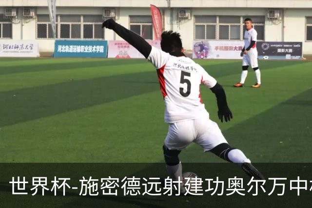 世界杯-施密德远射建功奥尔万中框 半场奥地利1-0约旦